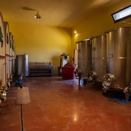 I Cerroni * Montescudaio