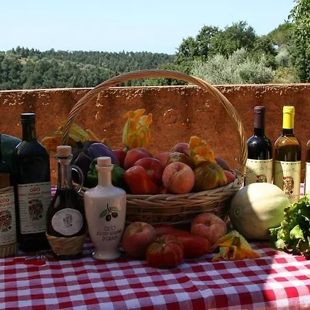 I Cerroni * Montescudaio